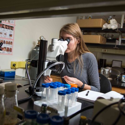 Madison Mix is researching the possible connection between the gut microbiome and Alzheimer's disease.