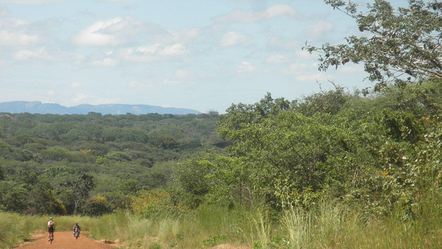 bikes in lush africa