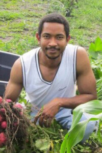 Joel Gindo harvests radishes on his farm